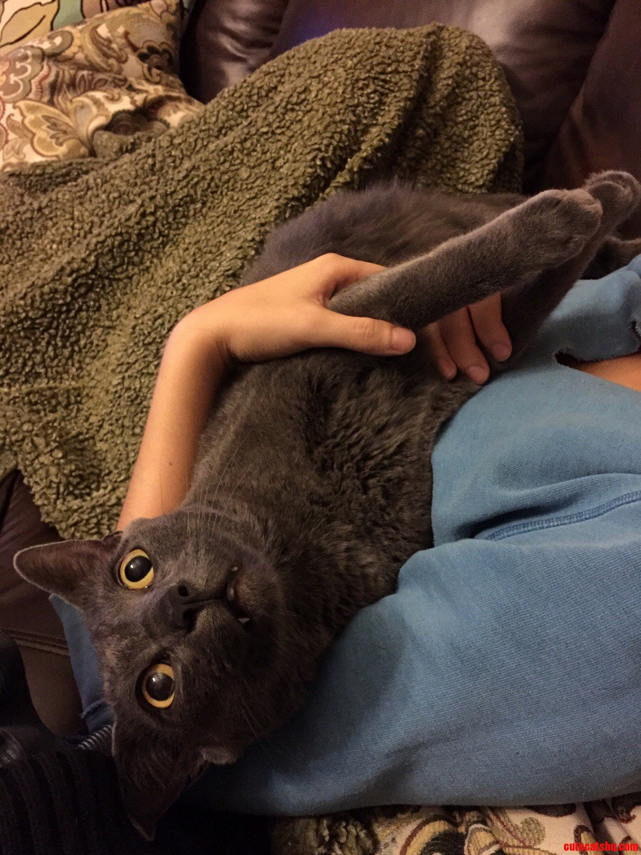 Yeah Hes a Derp Sometimes