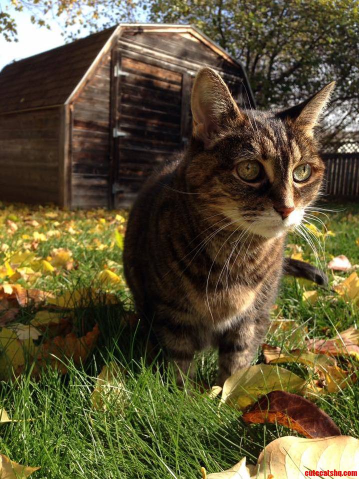 17 Years Old and Getting Prettier Every Day.