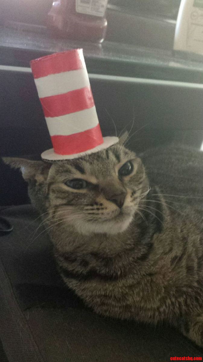 5 Seconds Later the Hat Was on the Ground and She Had Disappeared.