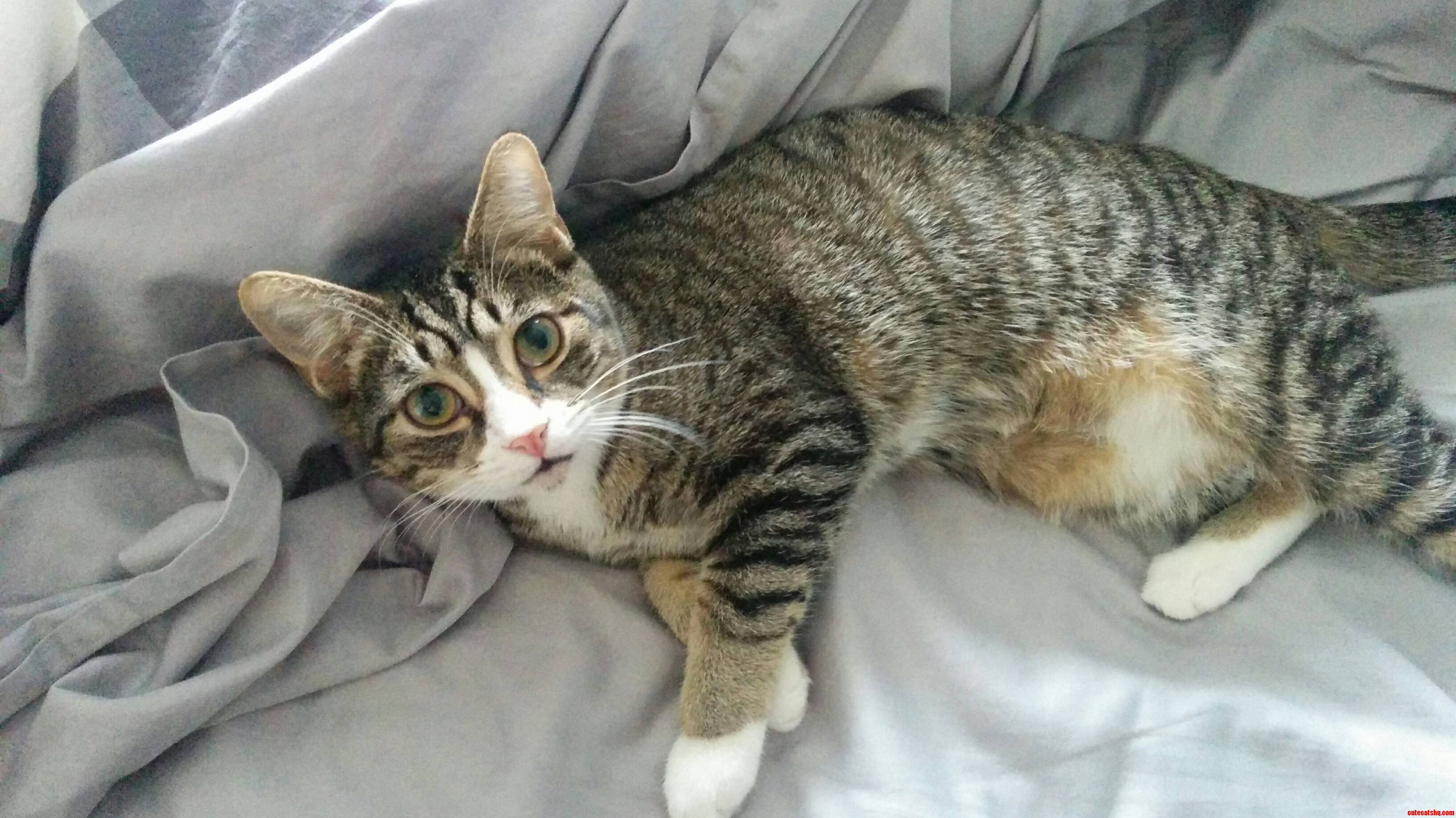 Adopted This Little Killer Today