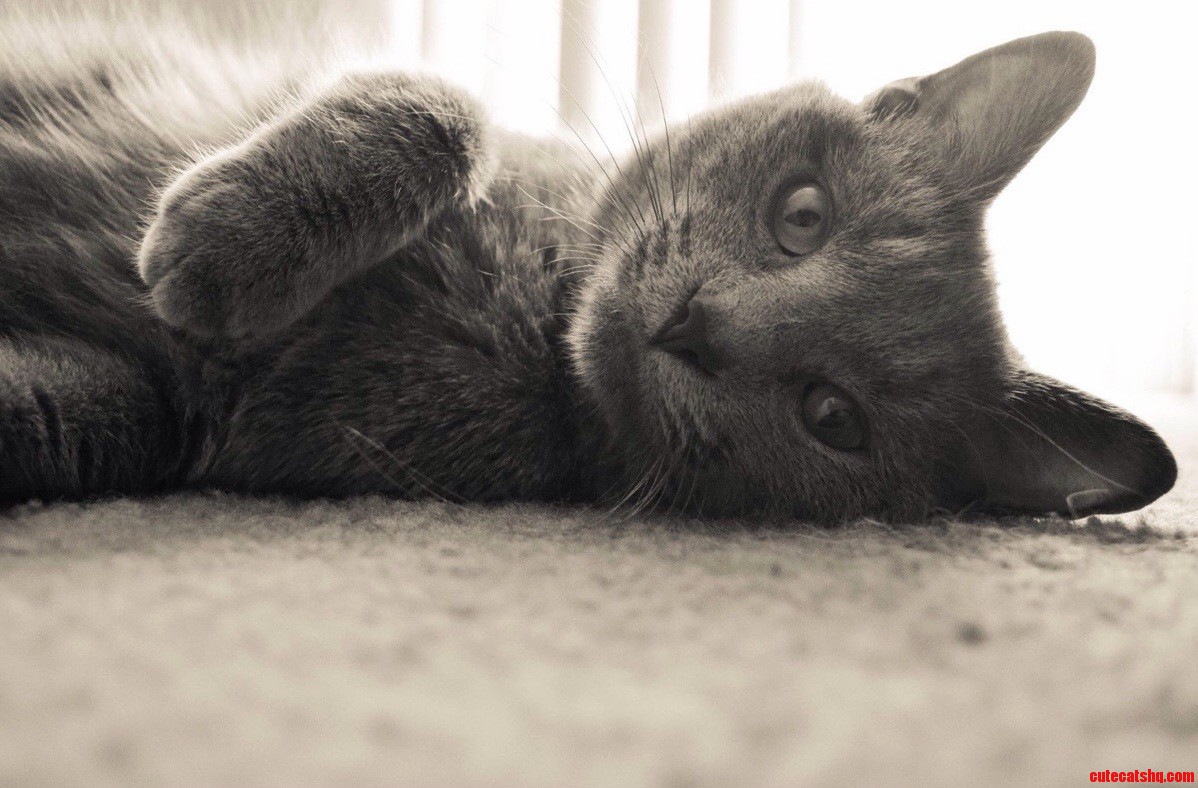 Albus Being Photogenic.