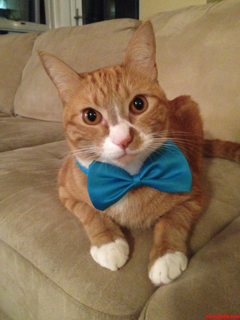 All Dressed Up Ready to Hit the Town