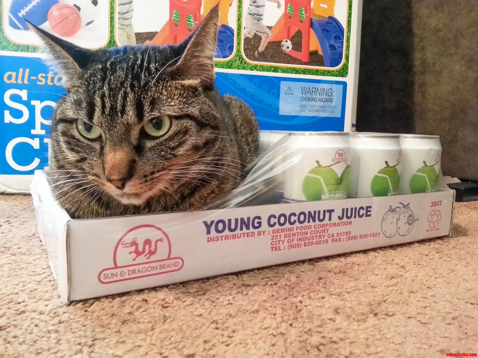 Annie Finally Fits and She Can Barely Contain Her Excitement