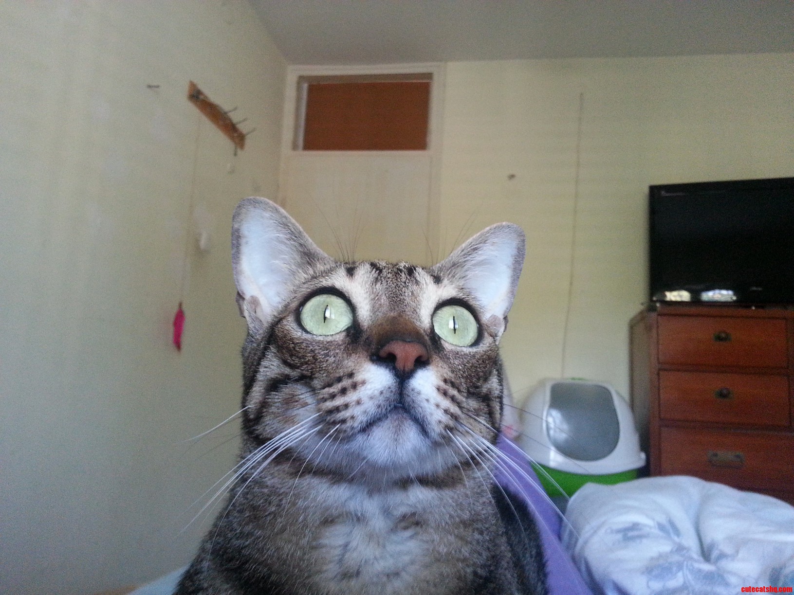 Avoid Eye Contact...