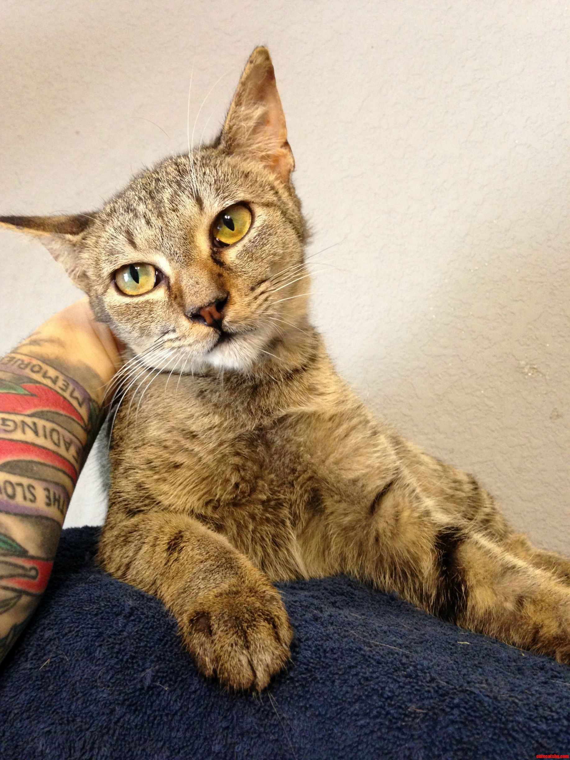 Babou Is Gorgeous
