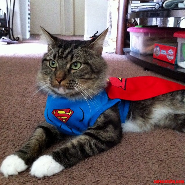 Bobby Jr As Superman