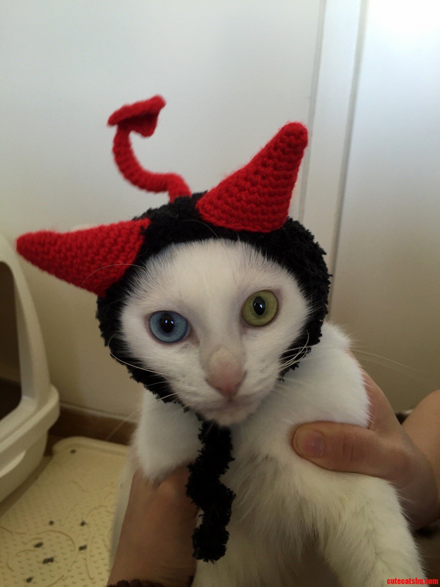 Boring Hat