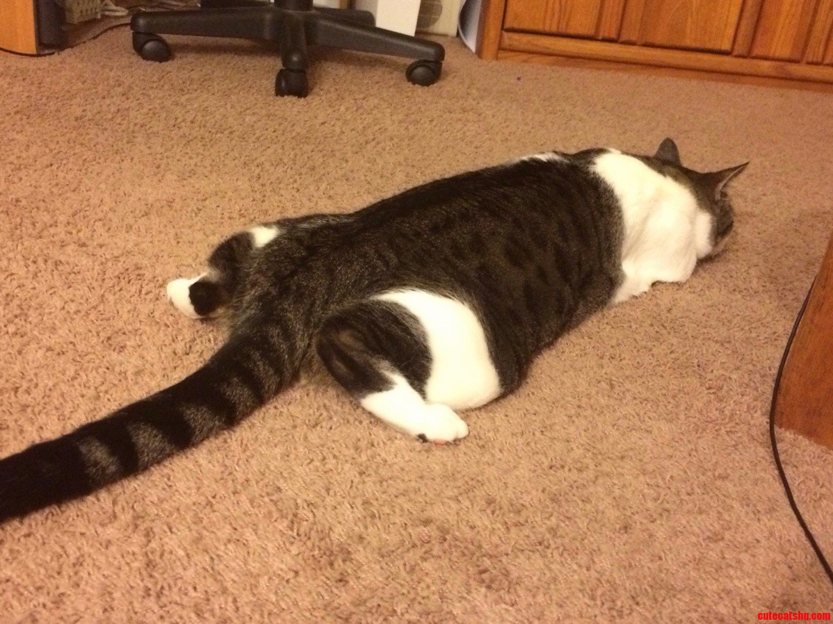 Bottoms Up.