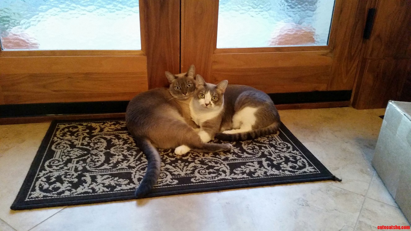 Brothers Staying Warm