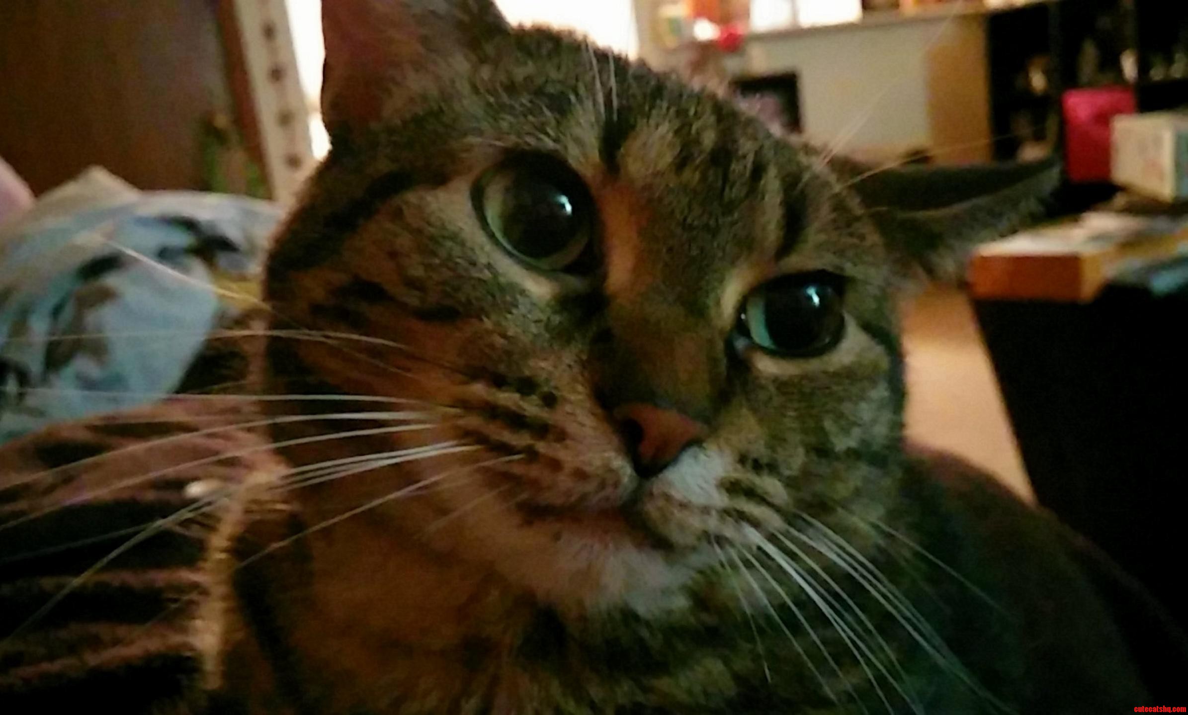 Cali Is Ready for Her Close Up