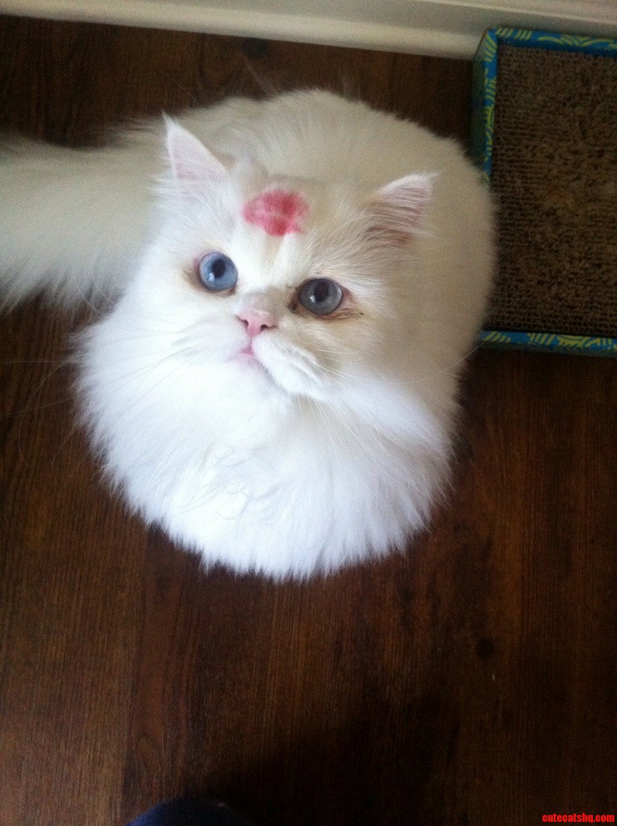 Came Home to Find My Little Girl Trying on Her Moms Lipstick