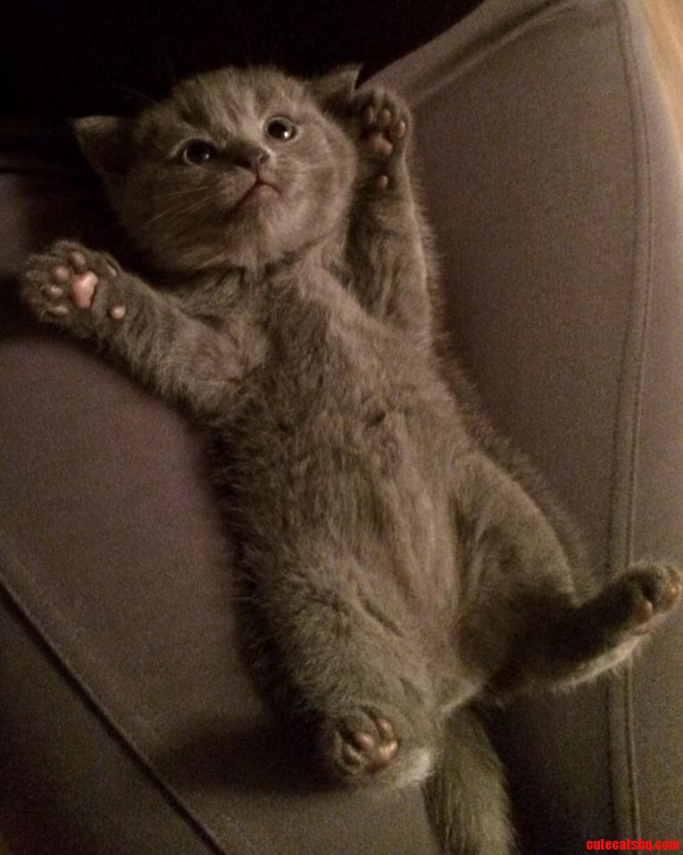 Can I Have a Hug