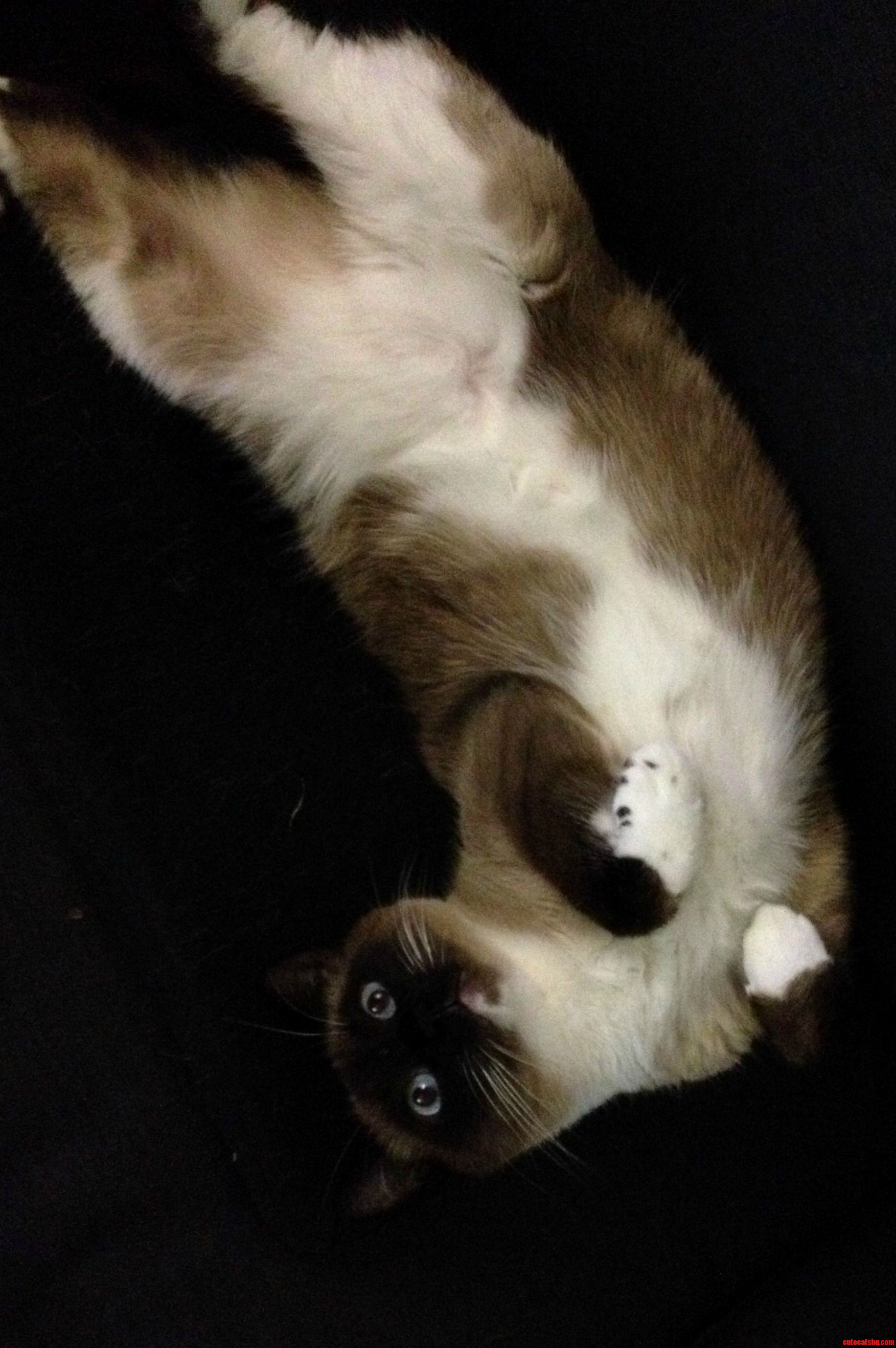 Dax As Glamour Model