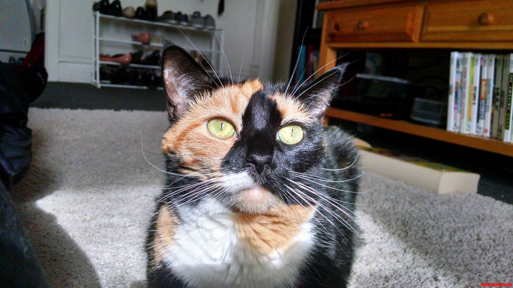 Dem Eyes....