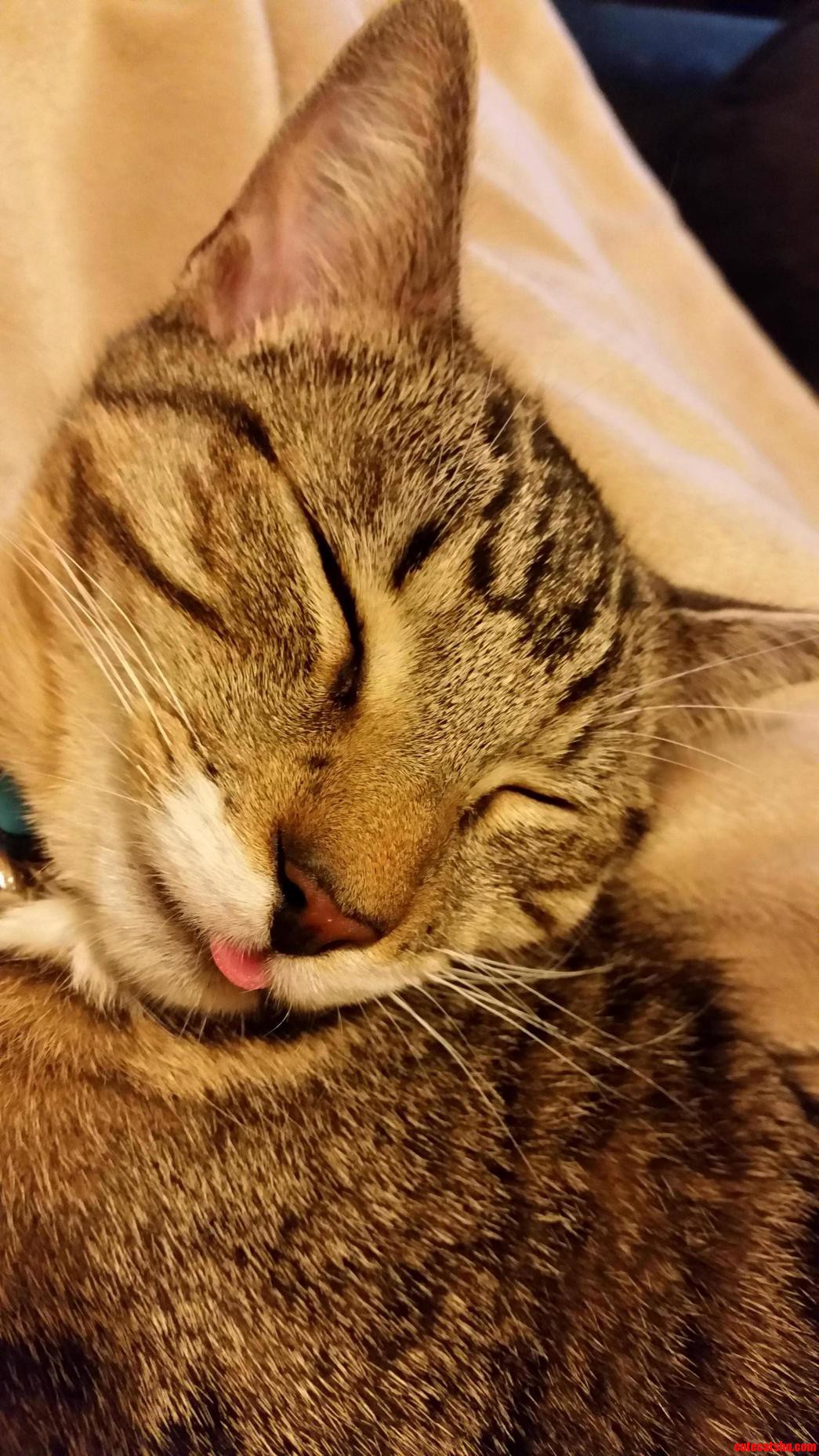 Derp...