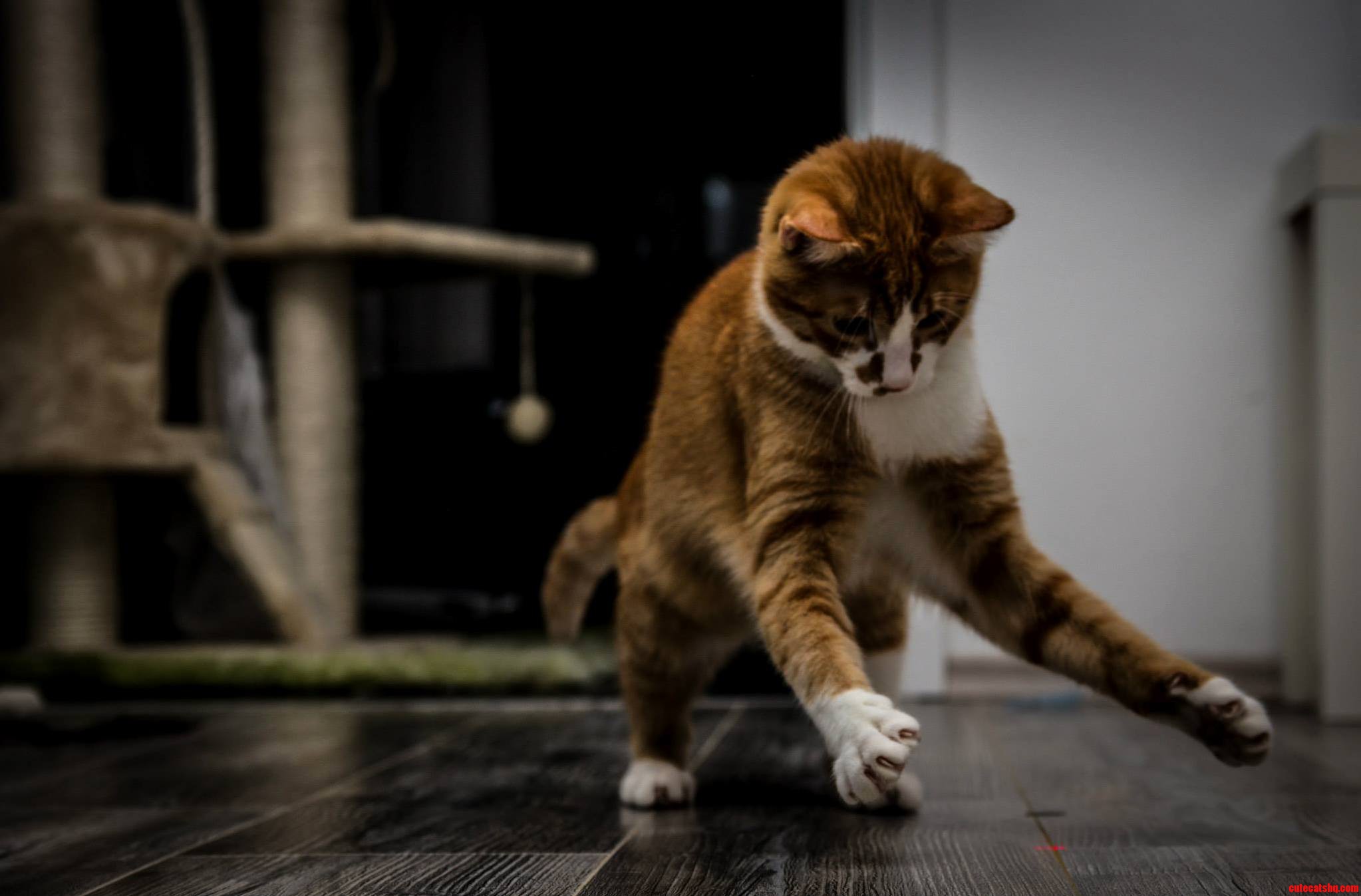 Dont Just Stand There You Fool Help Me Catch It