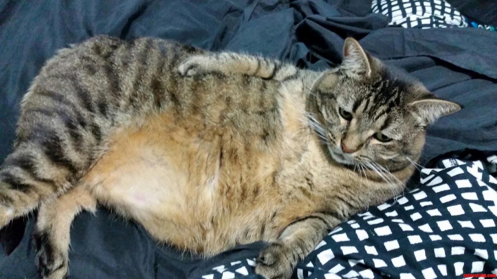 Draw Me Like One of Your French Girls
