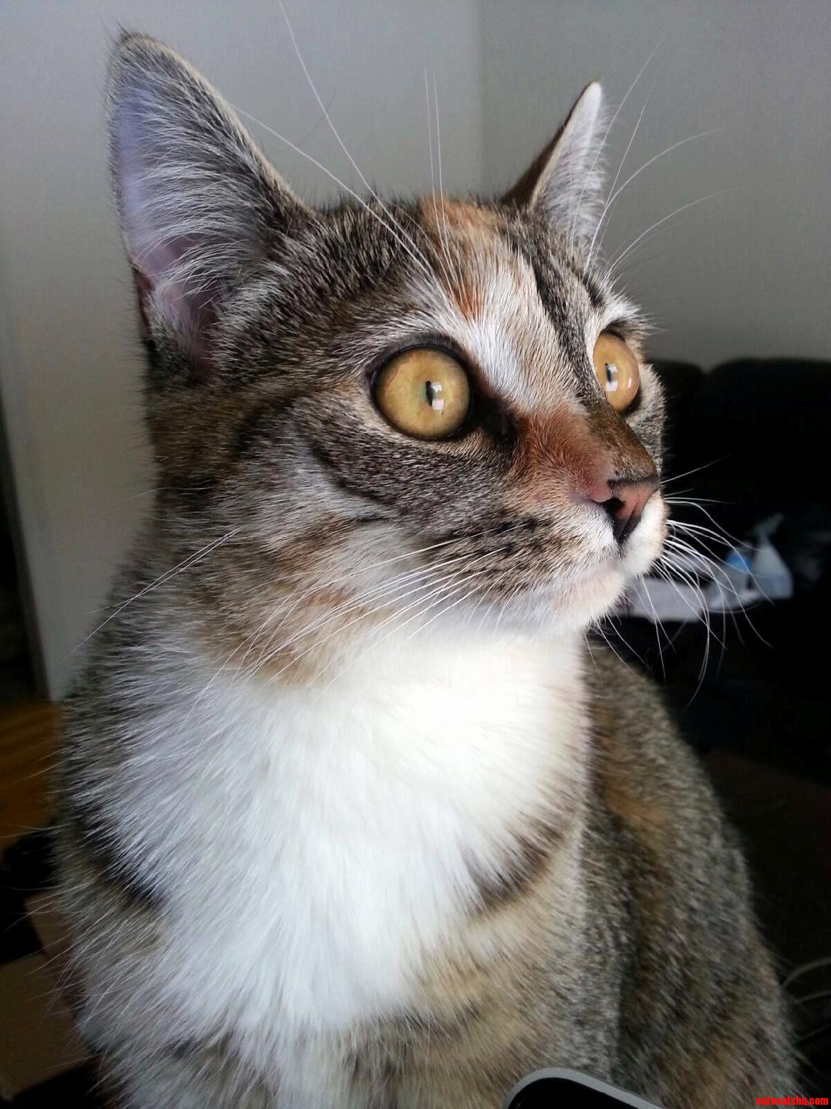 Every Time She Hears a Noise.