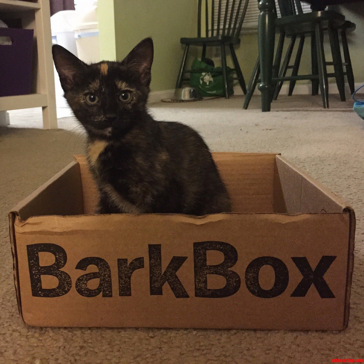 False Advertising.