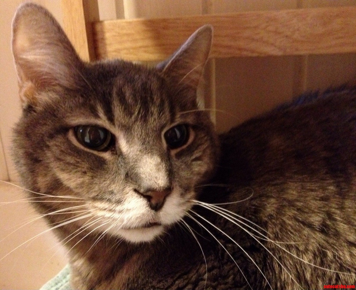 Frankie Is Feeling Better