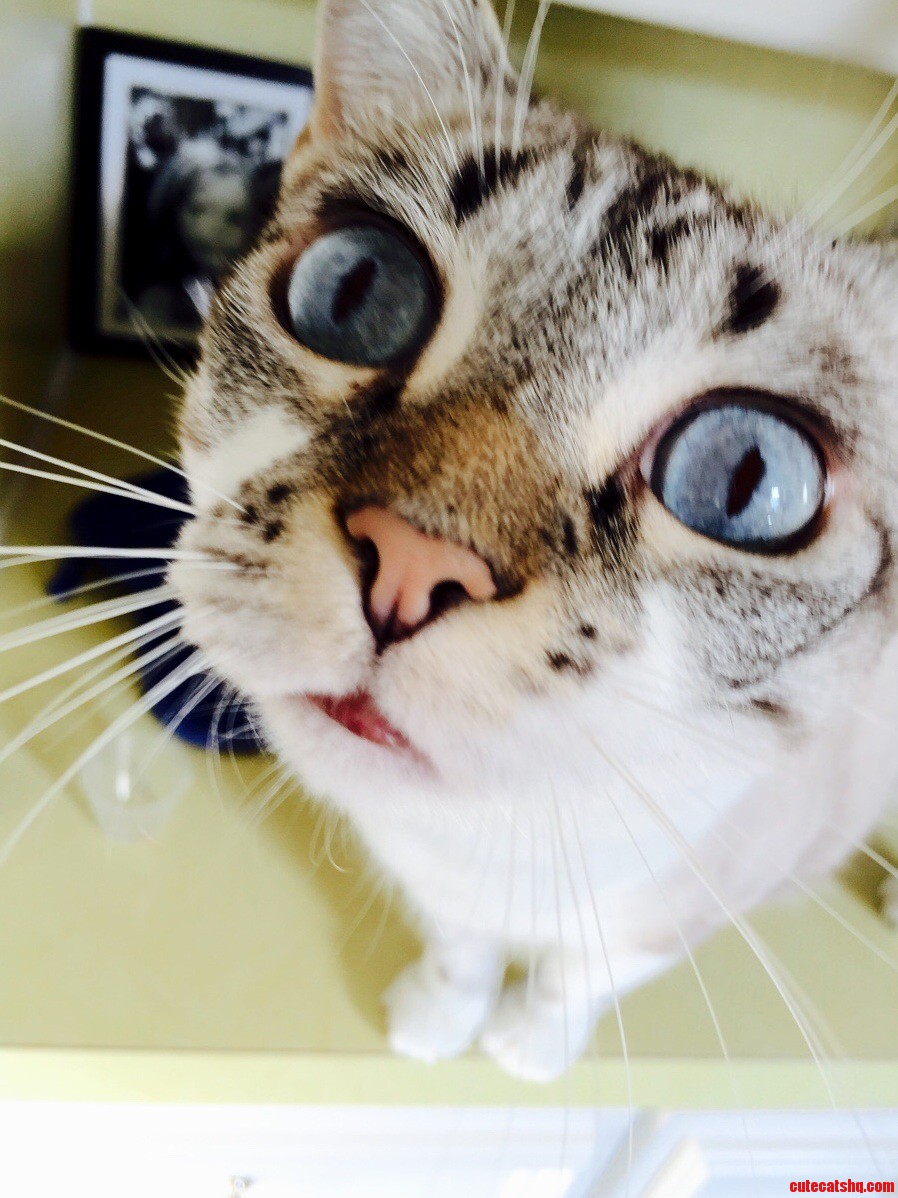 Funny Picture - This Is My Maggie