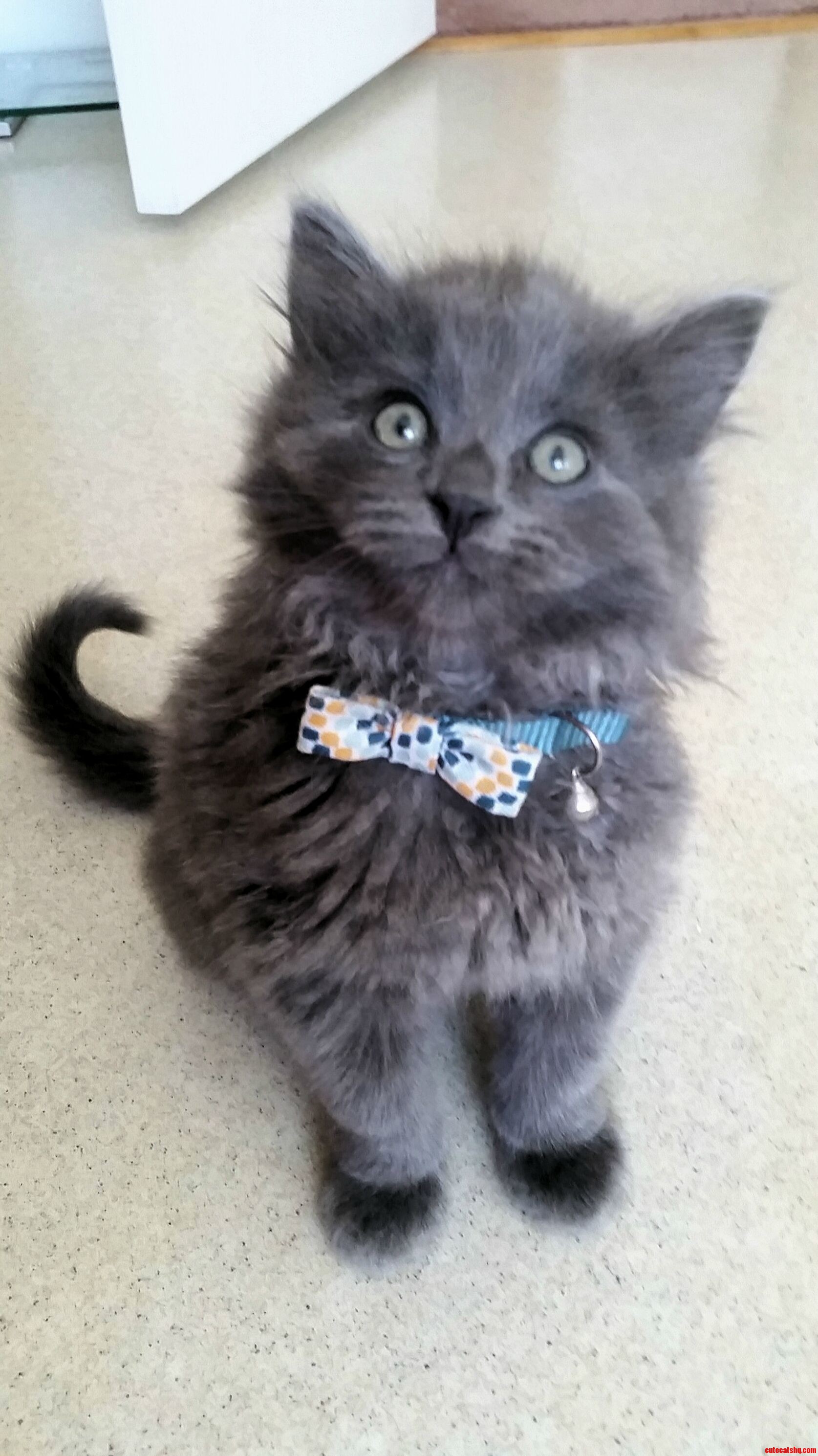 Gandalf Is a Dapper Dude