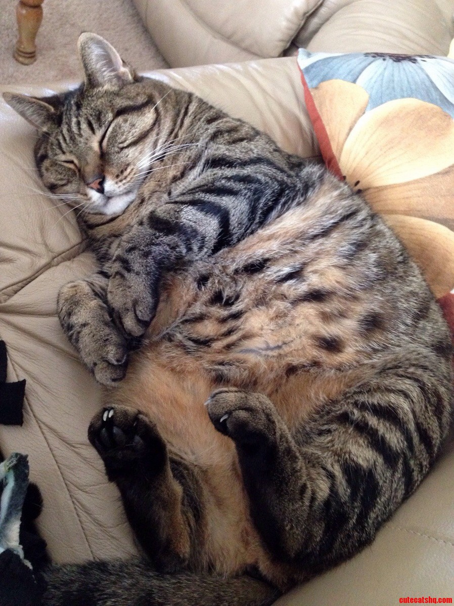 George Needs Snuggles.