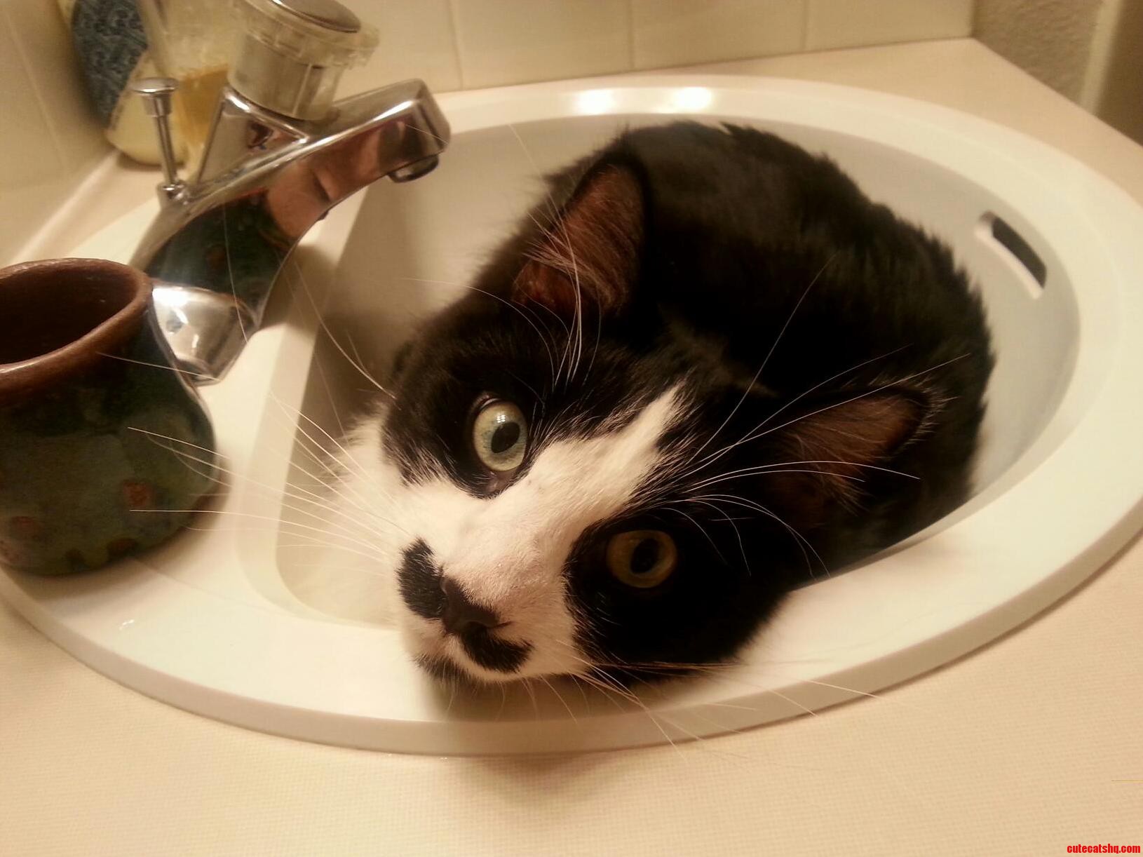 He Always Looks Like Hes Up to Something Even When Hes Not...i Think Its the Mustache.