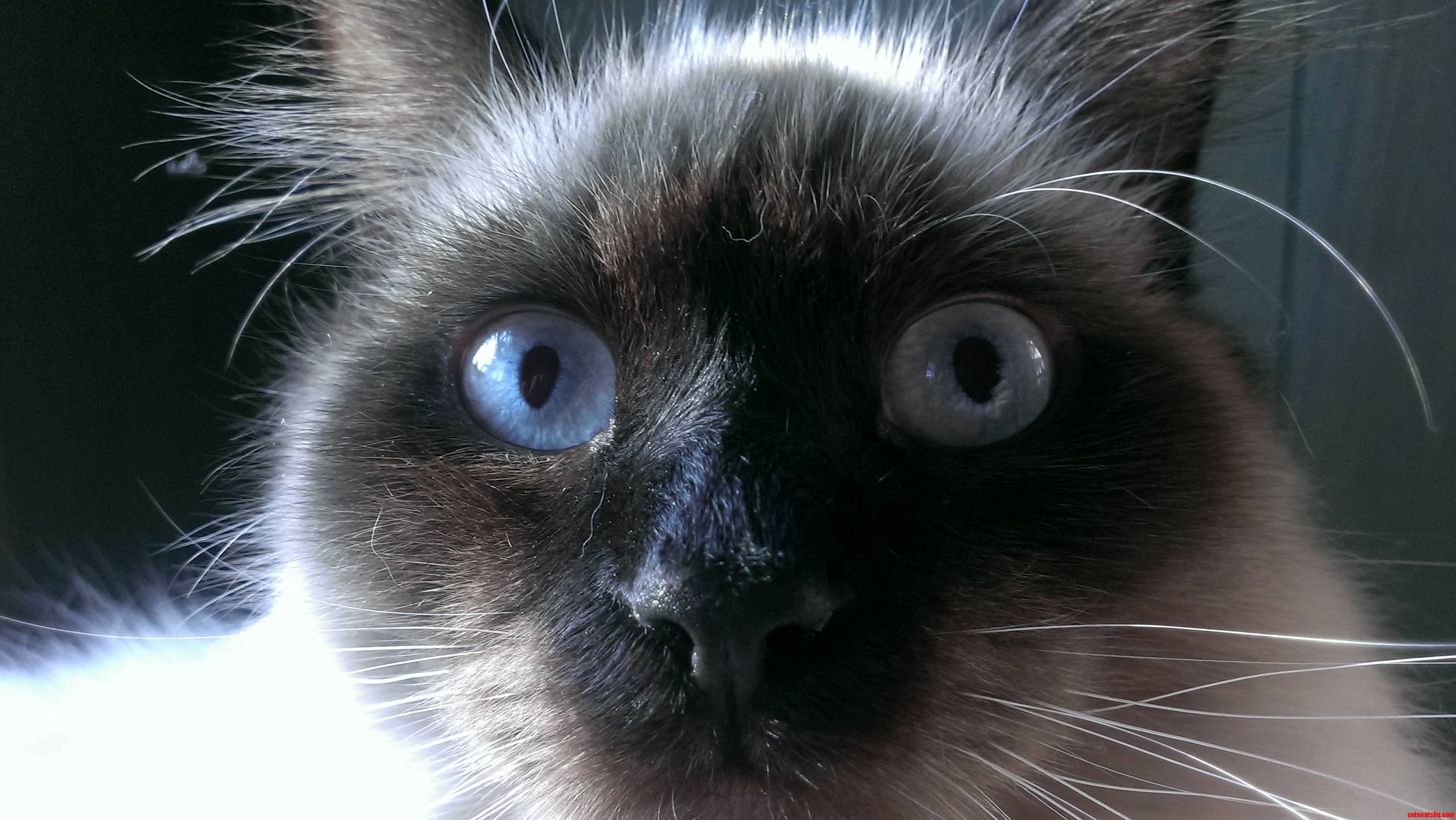 He Always Looks Surprised