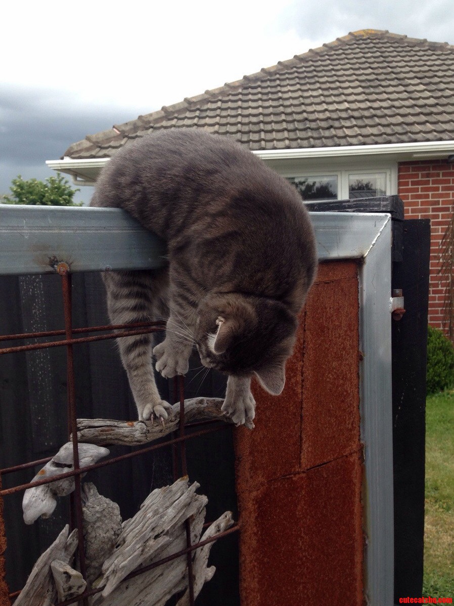He Got a Little Stuck