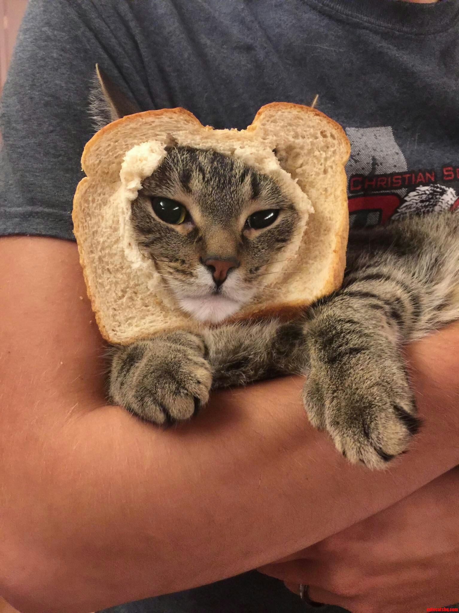 He Really Likes Bread.