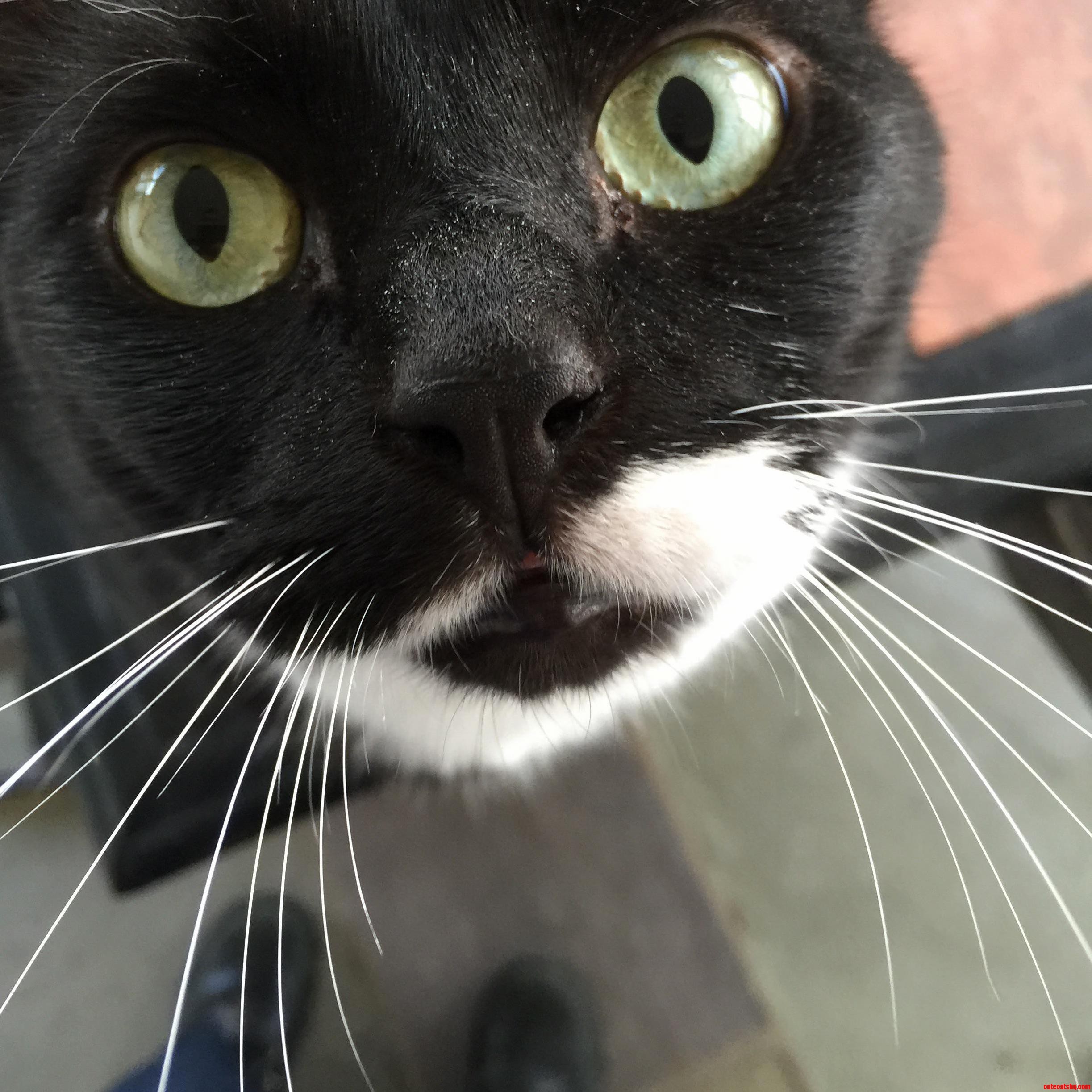 He Was Wondering Why I Was Leaving for Work on a Saturday.