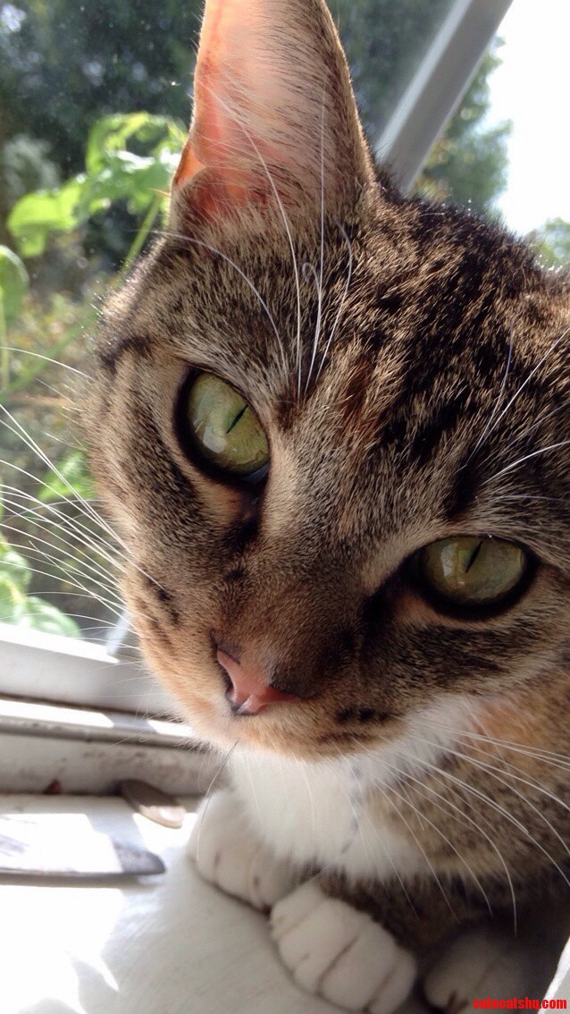 Heres to My Sweet Baby Pockets