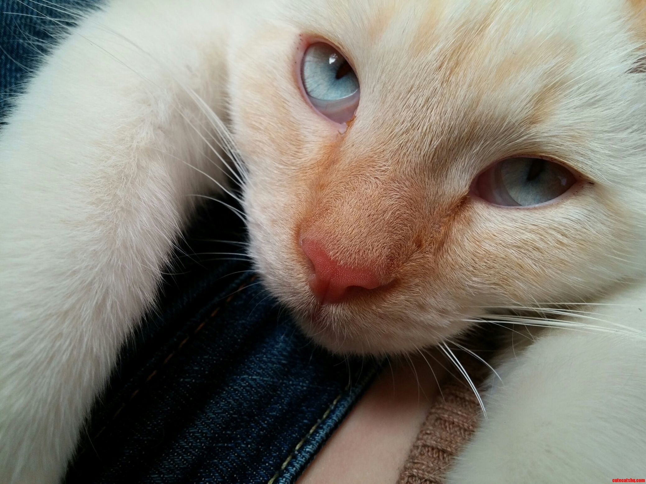 His Eyes Will Haunt Your Dreams...