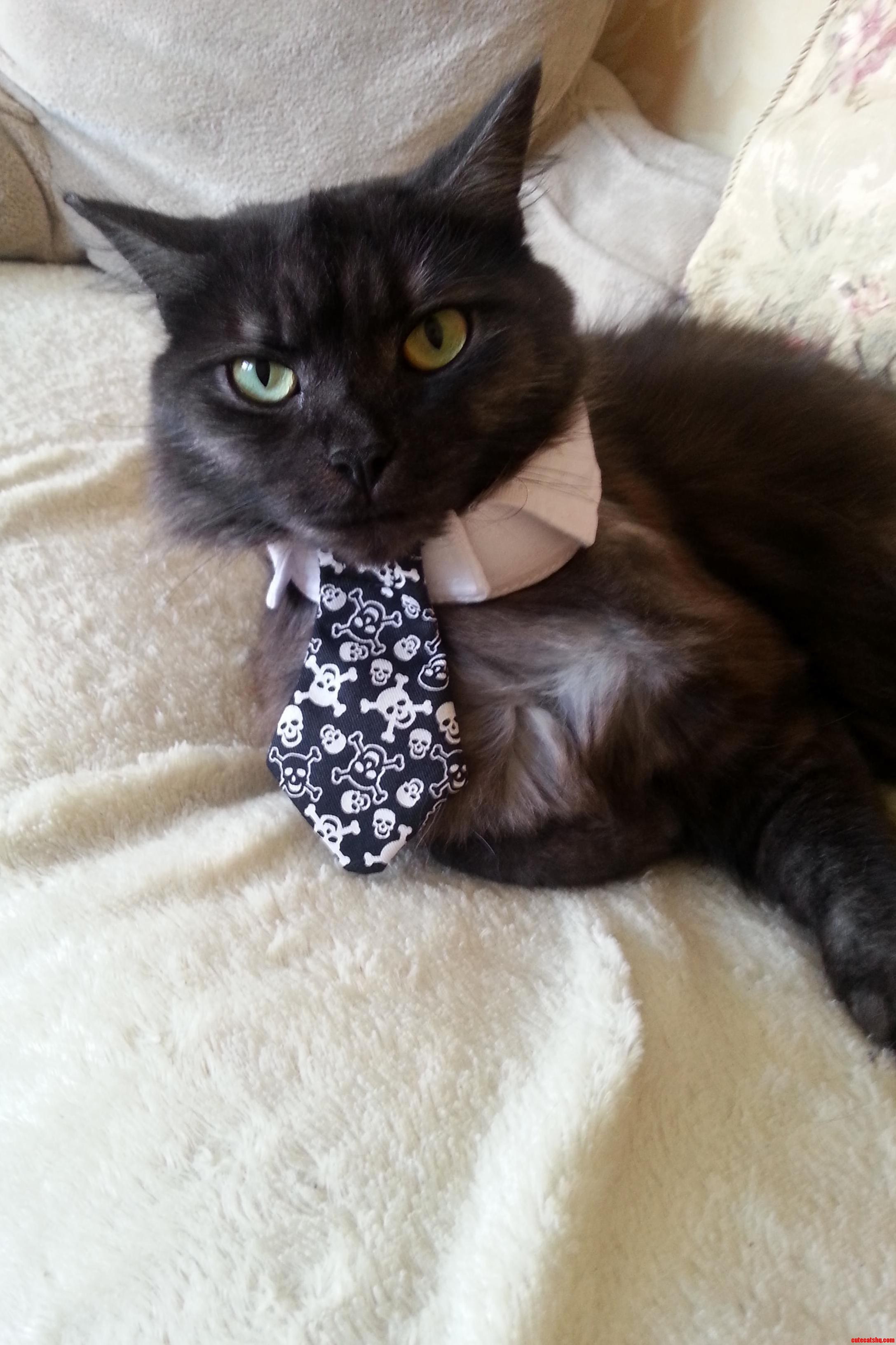I Bought Her a Halloween Tie