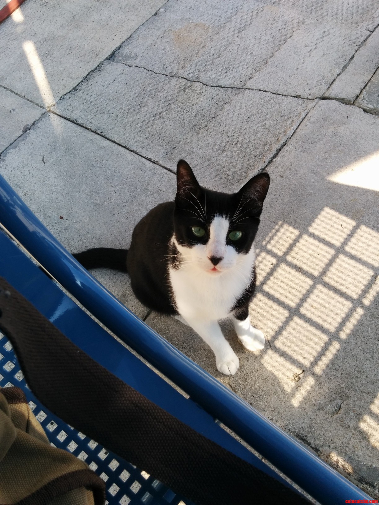 I Made a Friend During My Lunch.