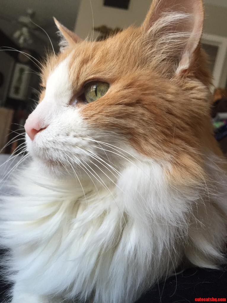 I Missed My Cake Day. It Was 2 Days Ago. but Heres Our Heartbreaker Joon.