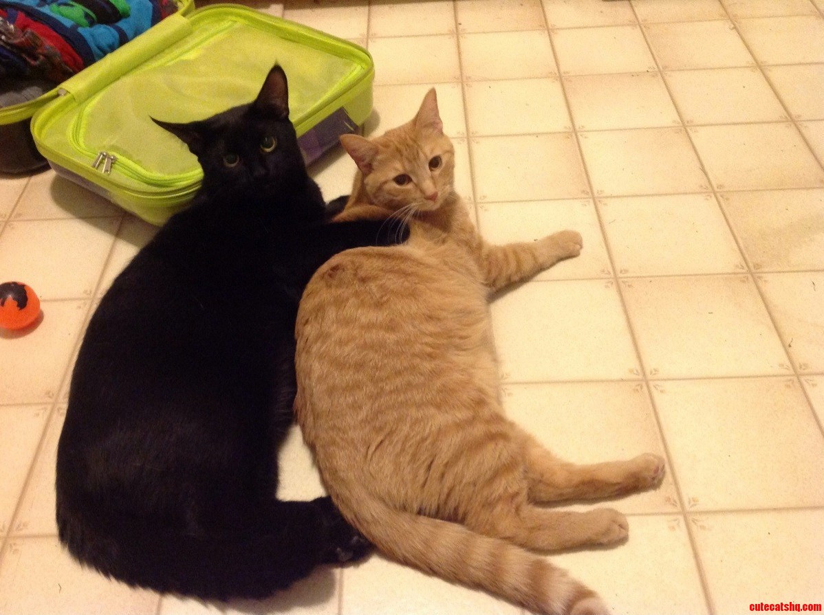 I Think I May Have Walked in on Something I Shouldnt Have