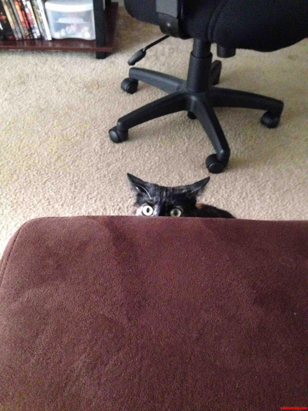 I Ve Got My Eye on You
