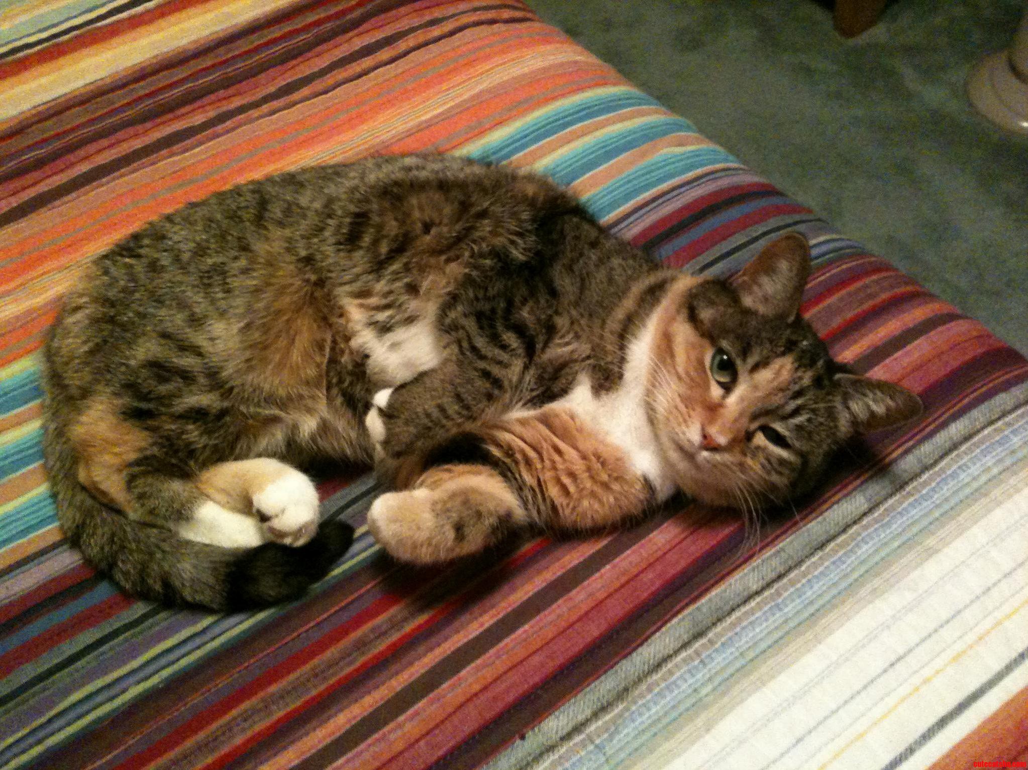 I Went in Close for Mid-wink