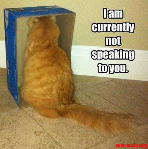 Im Currently Not Speaking to You