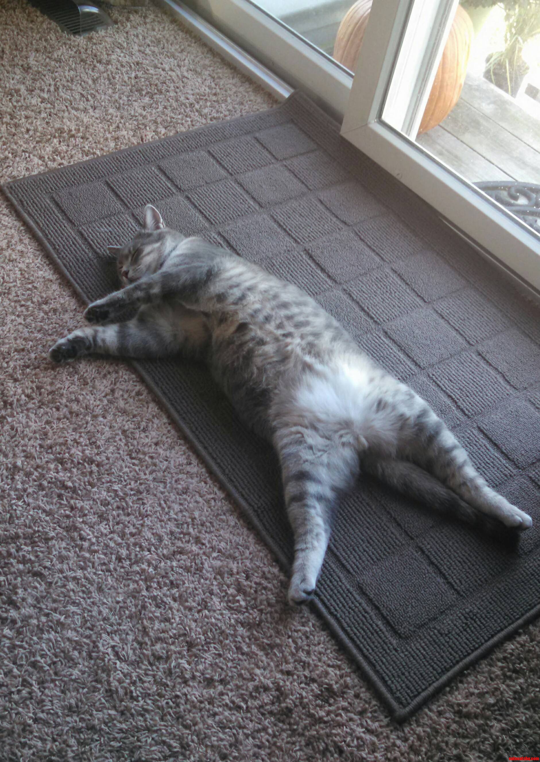 Indecent Exposure