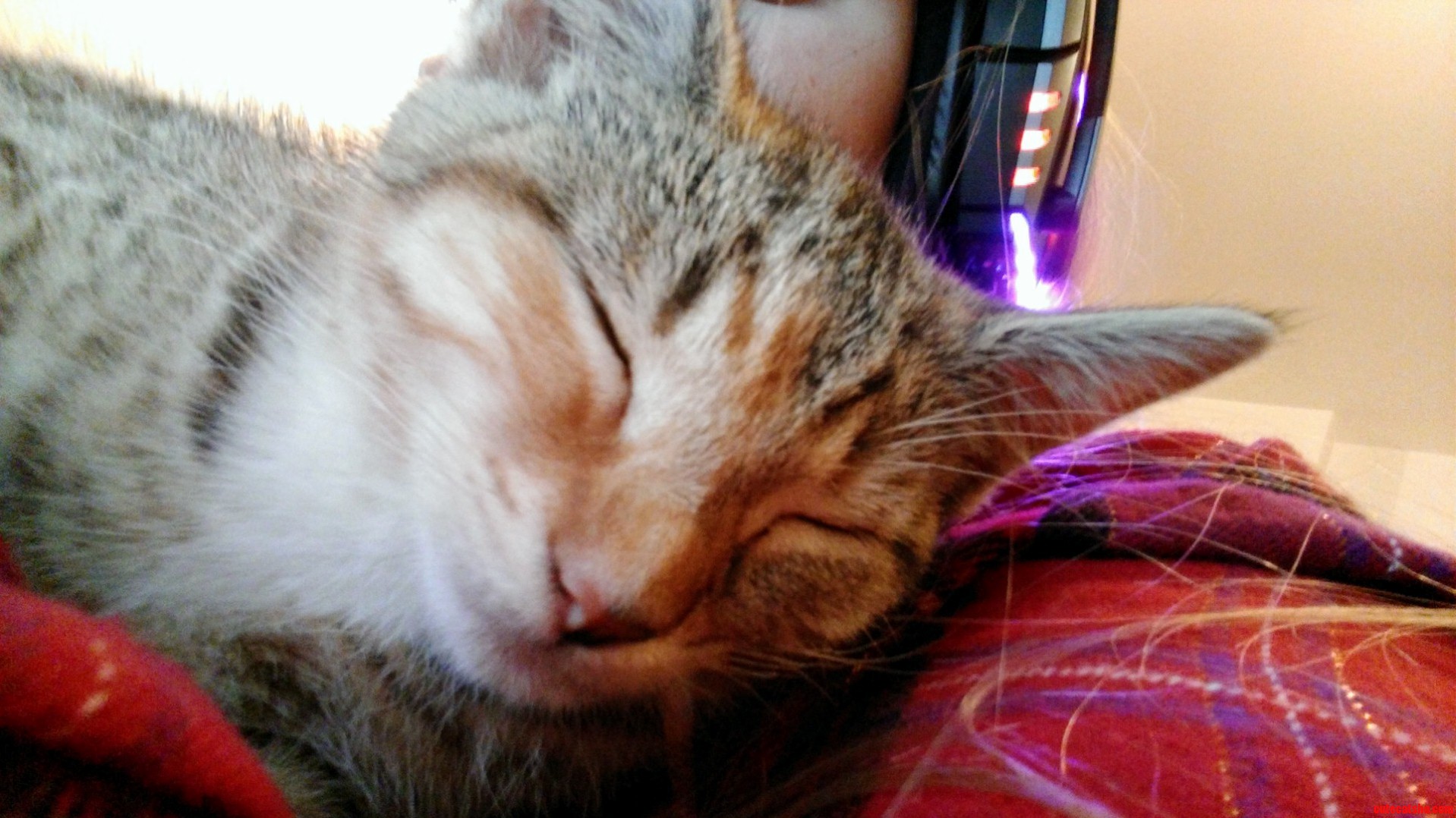 Its a Hard Life.