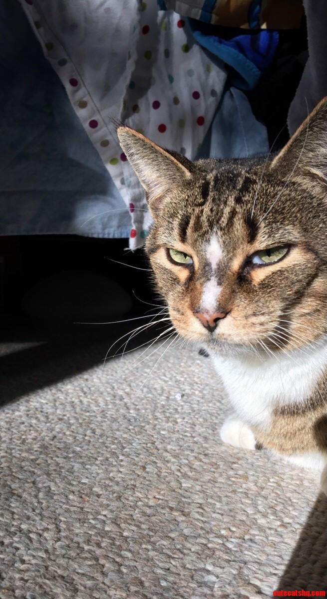 Its Really Hard to Get a Picture of Her Where She Doesnt Look Evil or Irritated.