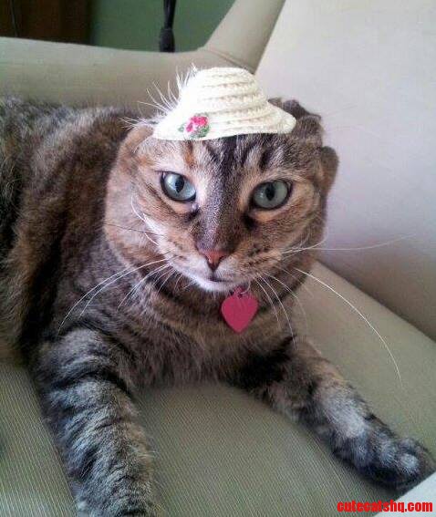 Jas Hat Is Too Small.