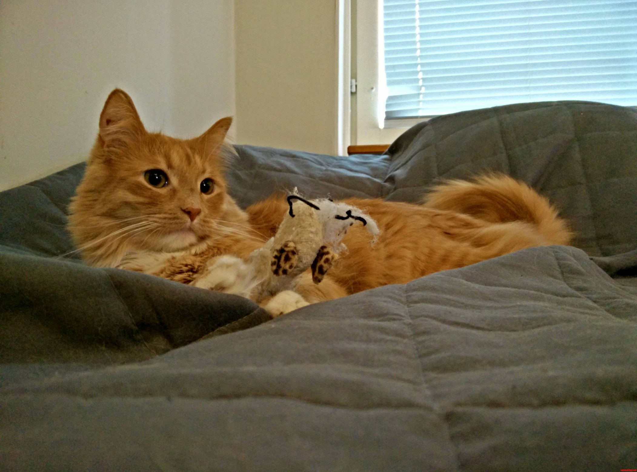 Just Chilling with My Toy