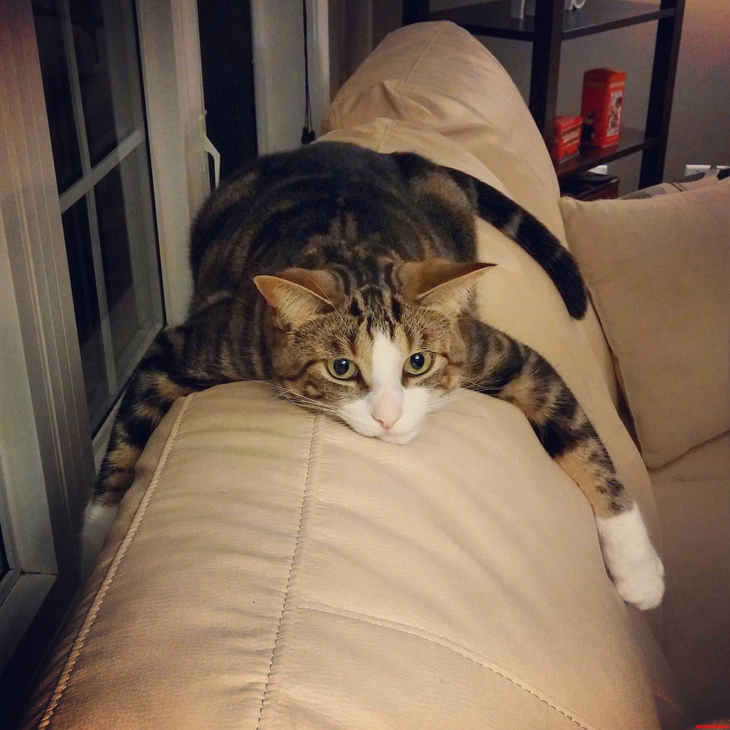 Just Found Him Like This
