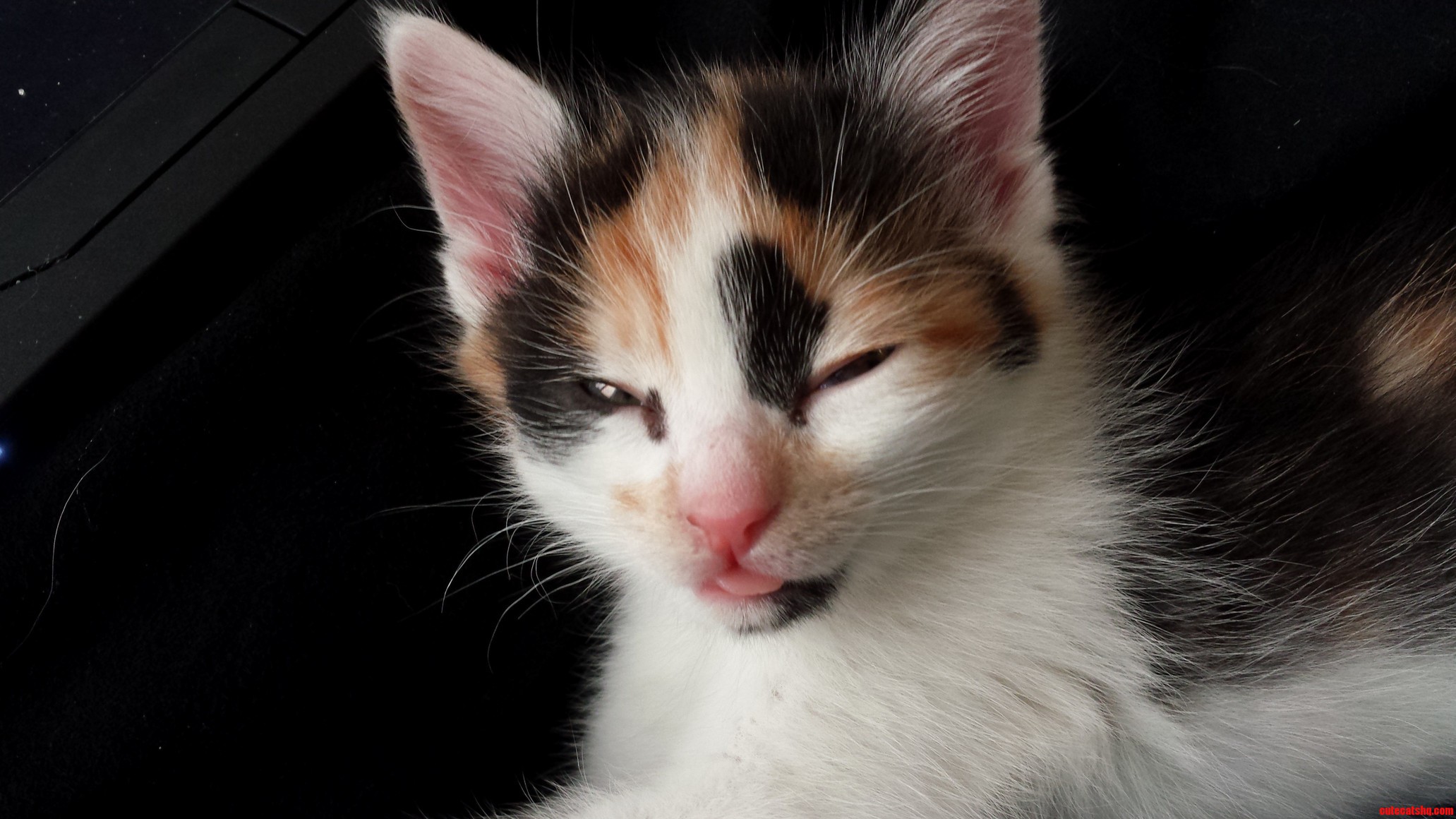Little Rodi Sticks Her Tongue Out at Me