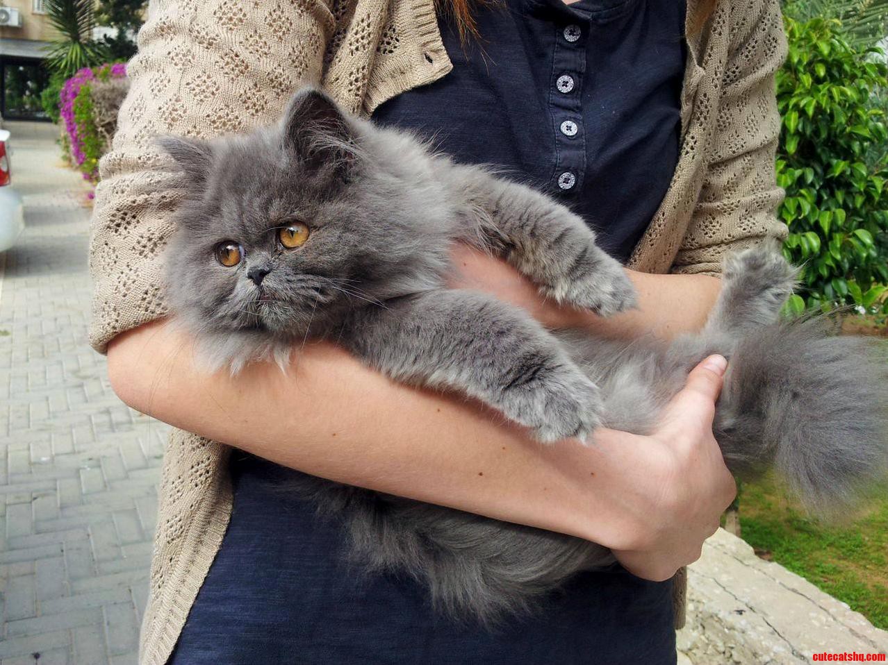Little Yuna Enjoying the Open Air on Her Way to the Vet