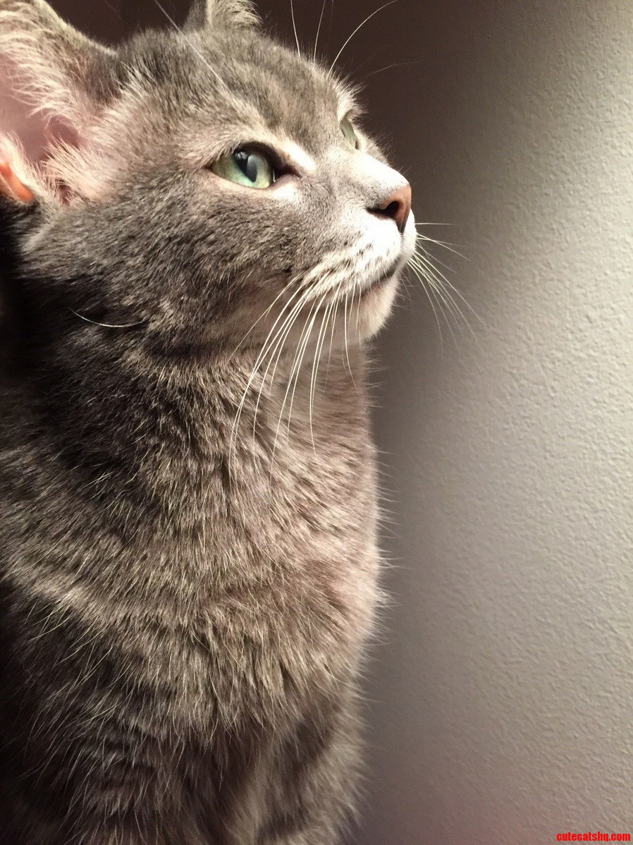 Livi Is Determined to Catch That Bug No Matter How Long It Takes Her.